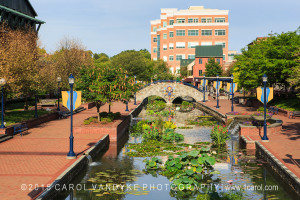 Color Creek Downtown Frederick Maryland