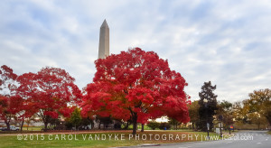 Autumn Landmark Washington Monument Washington DC