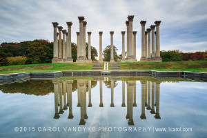 Capitol columns landmark national arboretum washington dc