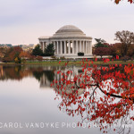 Jefferson Memorial Autumn Landmark Washington DC