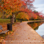 Washington DC Autumn Tidal Basin
