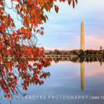 Washington DC Monument Autumn