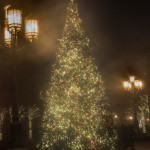 Fog, mist, Christmas tree, outdoor, Reston Town Center, VA