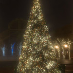 Reston Town Center Christmas Tree