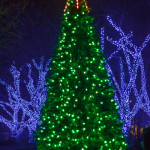 Outdoor Holiday Christmas Tree
