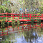 Red Bridge Magnolia Plantation Charleston SC