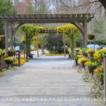 Gibbs Garden, Georgia, entrance, spring