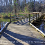boardwalk, Lake Conestee Nature Park, Greenville, SC
