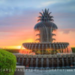 Charleston SC Pineapple Fountain at Sunrise