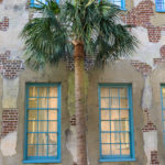 Charleston, SC, Palm Tree,