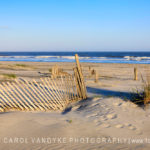 Dunes on Folly Beach, South Carolina
