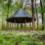 Virginia, Meadowlark Gardens, spring, gazebo