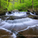 cascade, water, Kitchen Creek, Pennsylvania, Ricketts Glen State Park