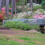 Callaway Gardens Pine Mountain GA
