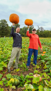 Family Pumpkin Field