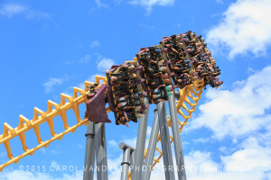 Batman Roller Coaster